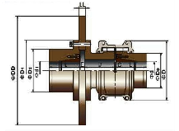 T63系列帶制動盤蛇形彈簧聯(lián)軸器